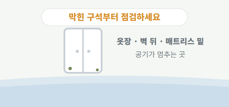 곰팡이가 잘 생기는 곳은 어디인가요?
