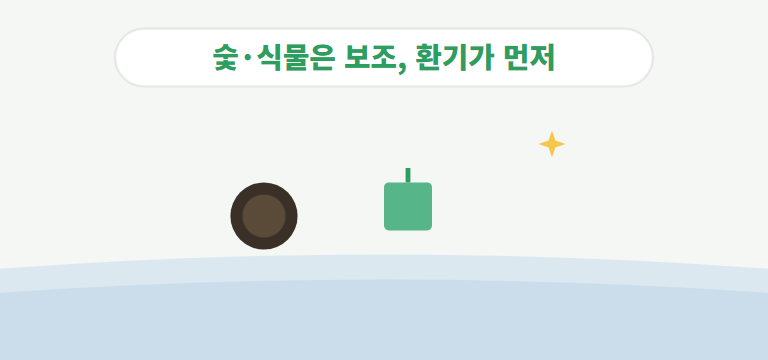 숯이나 식물도 도움이 되나요?