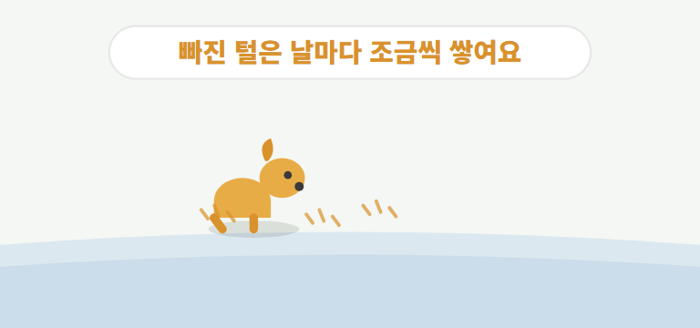 털은 왜 이렇게 많이 빠지나요?
