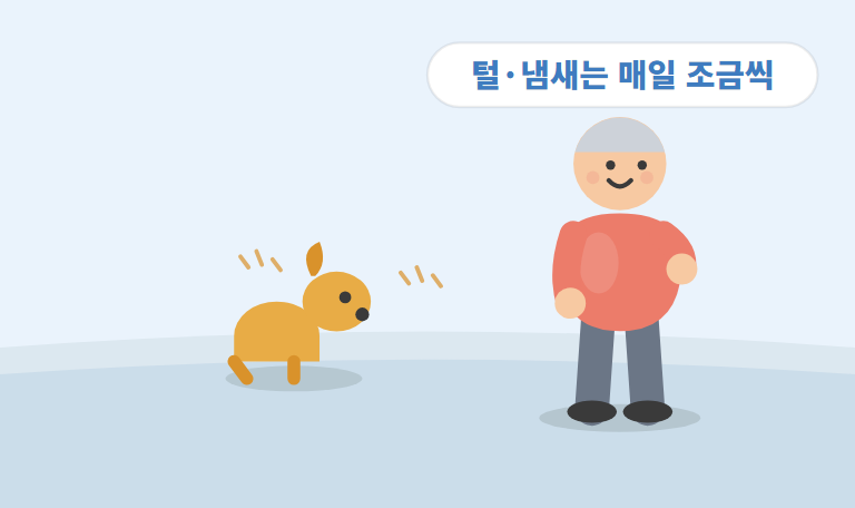 반려동물 있는 집 청소 — 털·냄새 걱정 없이 깨끗하게