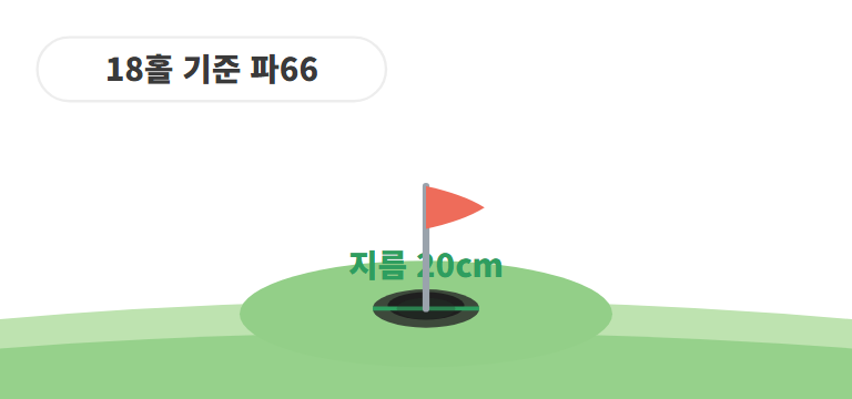 구멍은 지름 20cm, 타수는 정직하게