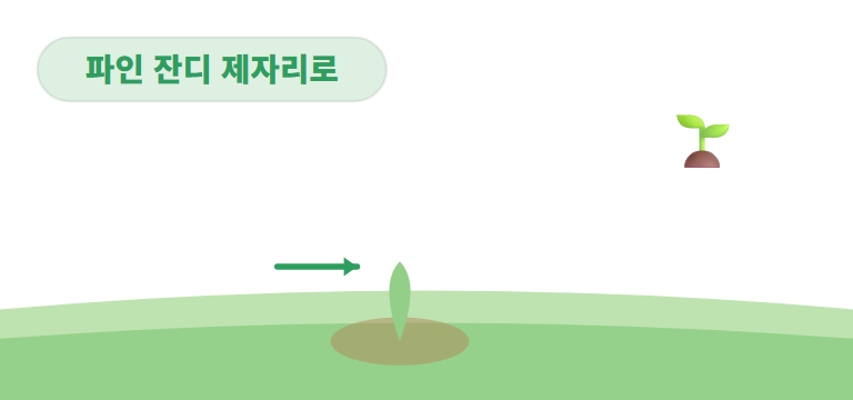 잔디와 코스를 아껴요