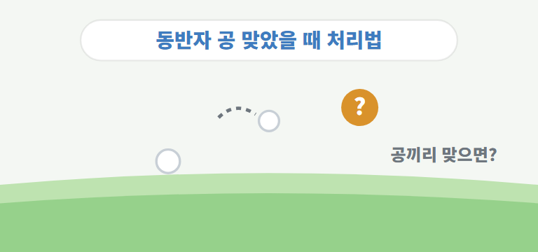동반자 공을 맞히면 어떻게 하나요?